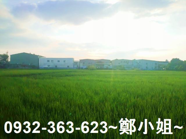 八德農地-8