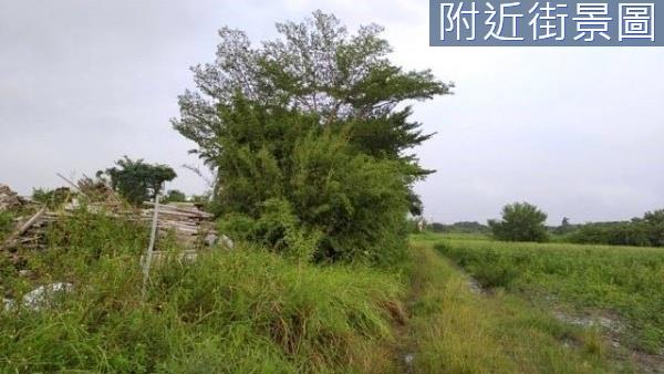 台南農地-2