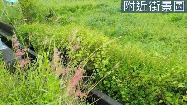 台南農地-3