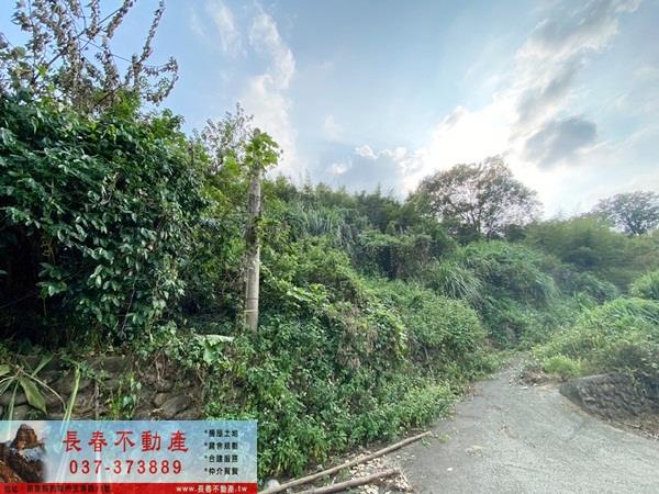 苗栗卓蘭山坡地_休閒地-1