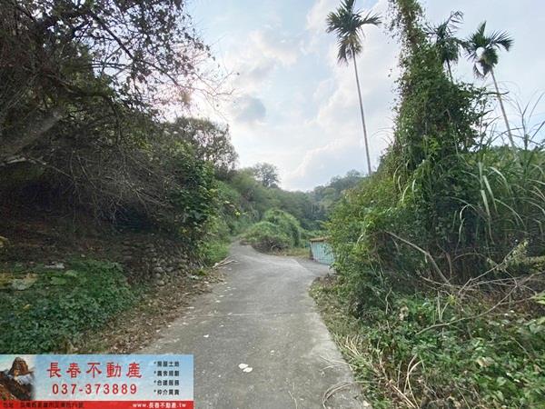苗栗卓蘭山坡地_休閒地-2