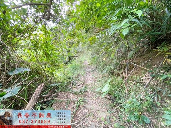 苗栗卓蘭山坡地_休閒地-4
