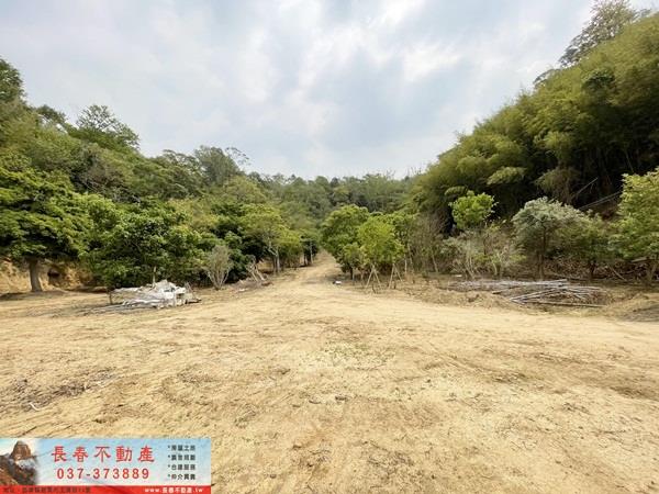公館農地_山坡地-1