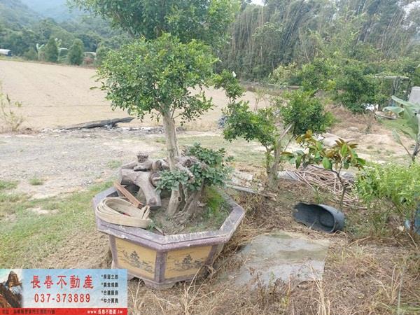 苗栗銅鑼農地_休閒地-2