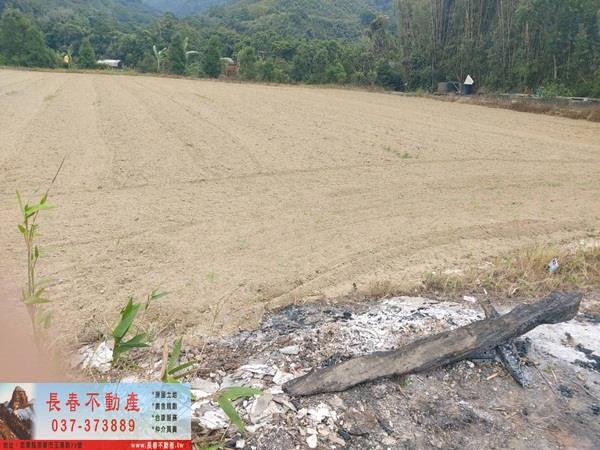 苗栗銅鑼農地_休閒地-7