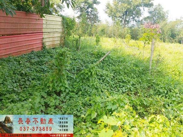 頭屋農地_山坡地_休閒地-3