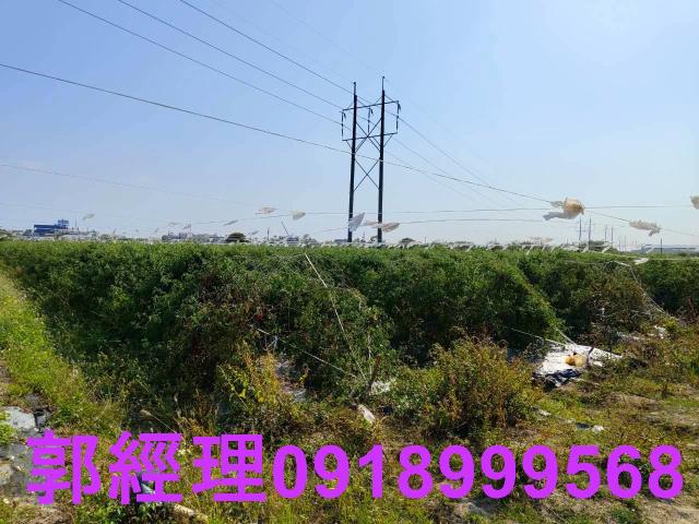 台南農地-4