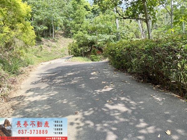 苗栗農地_山坡地_休閒地-10