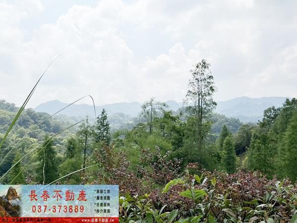 苗栗農地_山坡地_休閒地-7