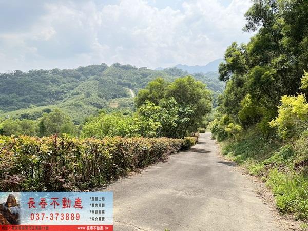 苗栗農地_山坡地_休閒地-9