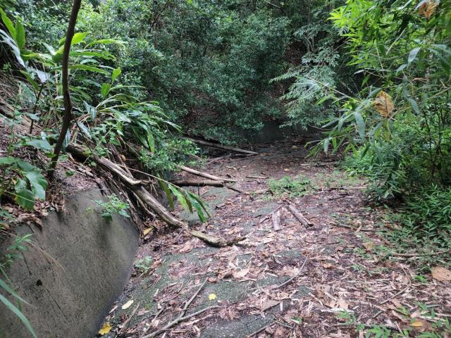 南投水里農地_山坡地-1