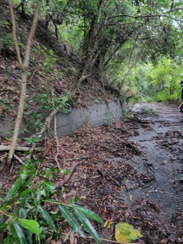 南投水里農地_山坡地-3