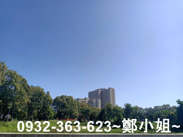 桃園桃園區農地-9