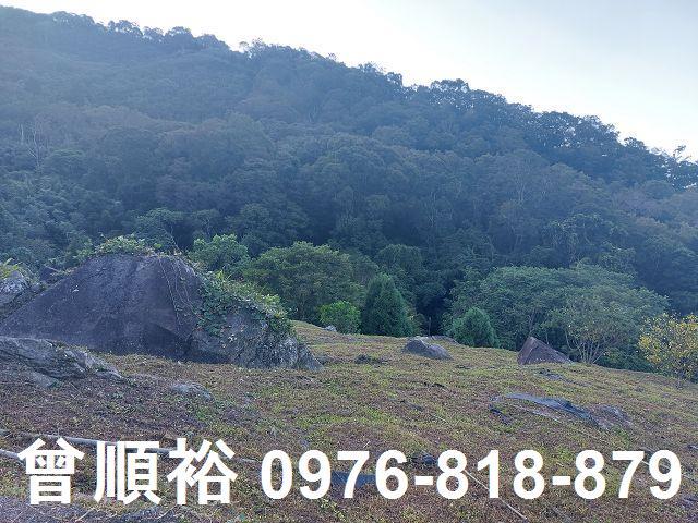 新竹農地_山坡地_林地-11