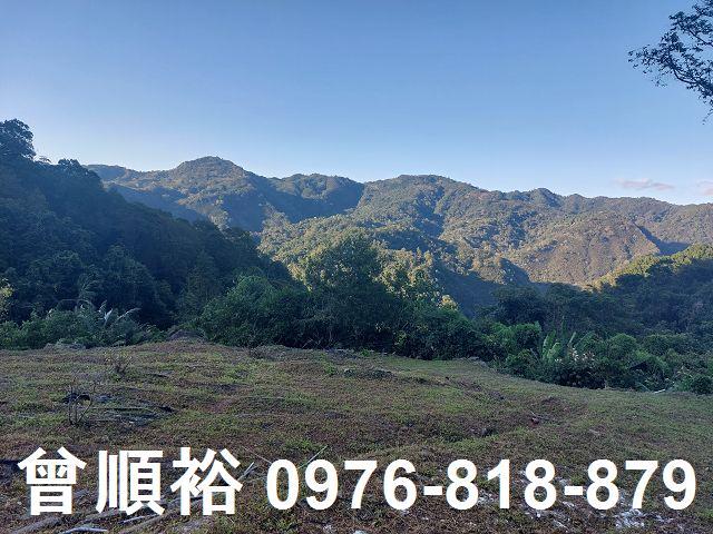 新竹農地_山坡地_林地-12