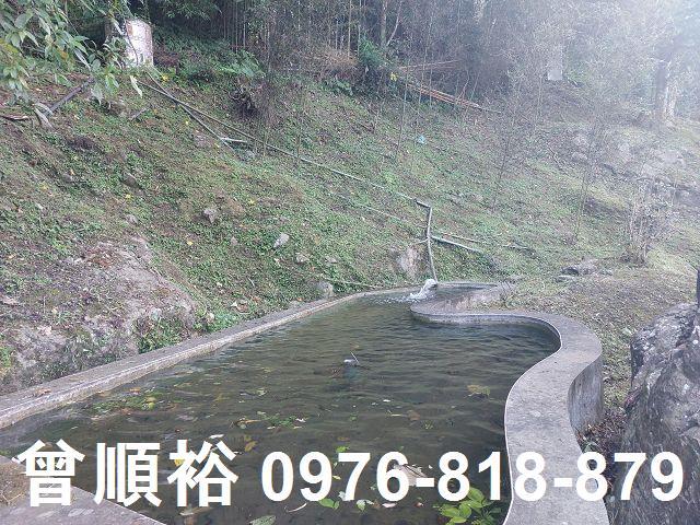 新竹農地_山坡地_林地-13