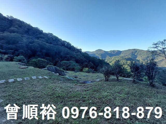 新竹農地_山坡地_林地-14