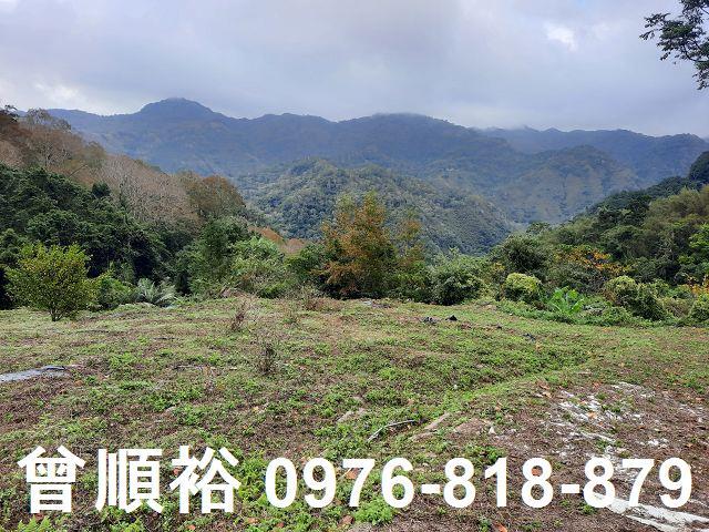 新竹農地_山坡地_林地-2