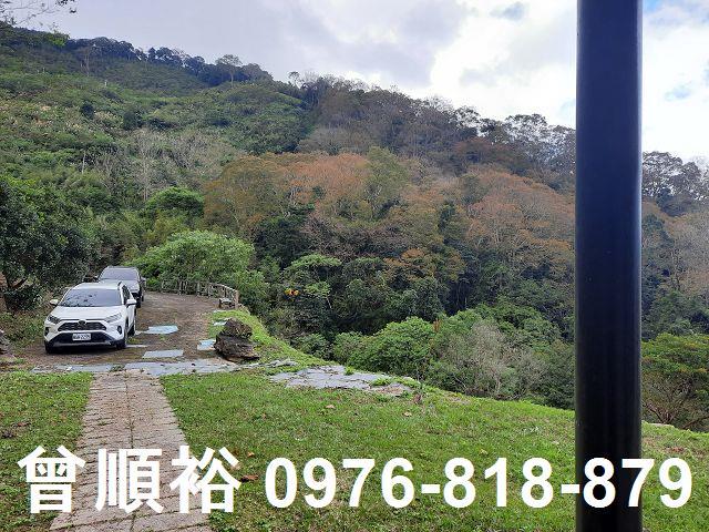 新竹農地_山坡地_林地-7