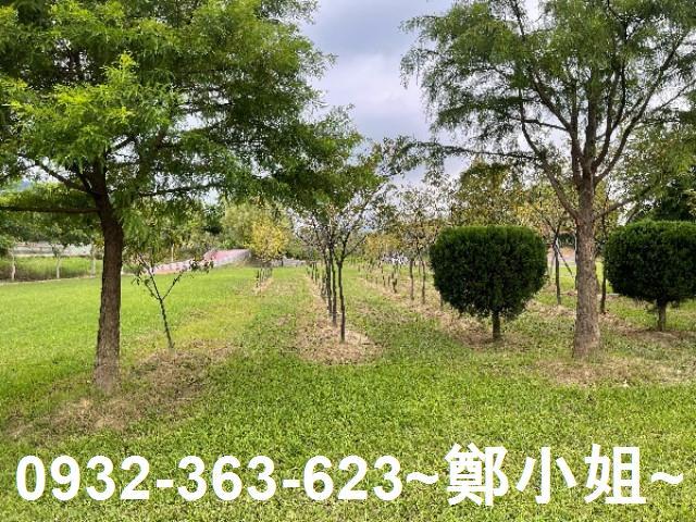 大溪農地_建地-10