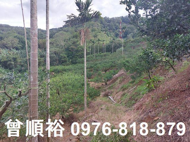 新竹農地_建地-10