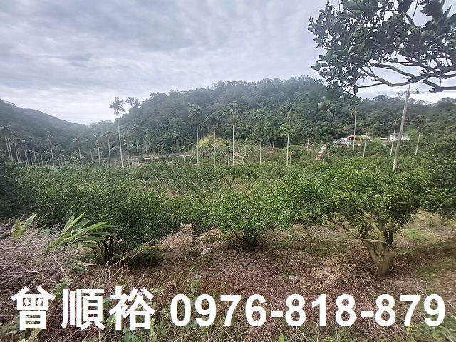 新竹農地_建地-11