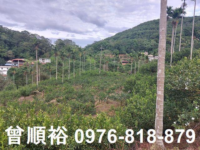 新竹農地_建地-1