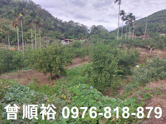 新竹農地_建地-2