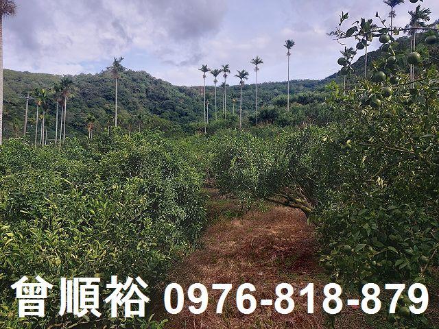 新竹農地_建地-4