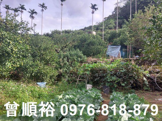 新竹農地_建地-5