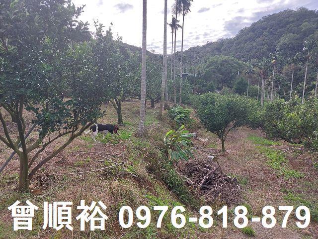 新竹農地_建地-7