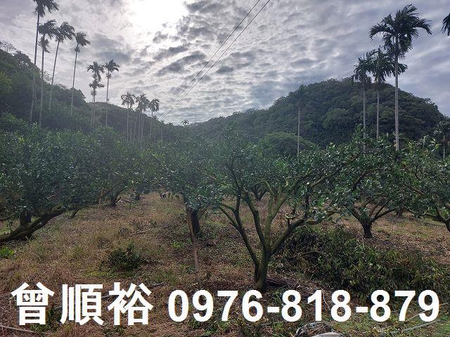 新竹農地_建地-8