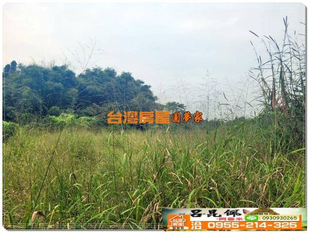 民雄農地-2