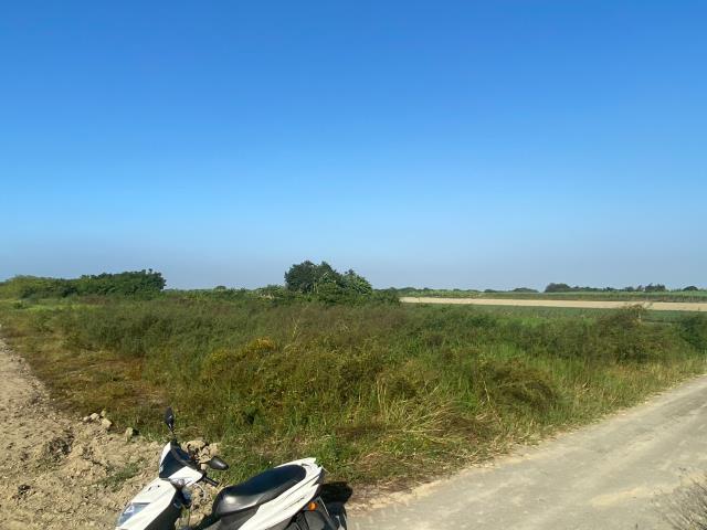 台南安南農地-5