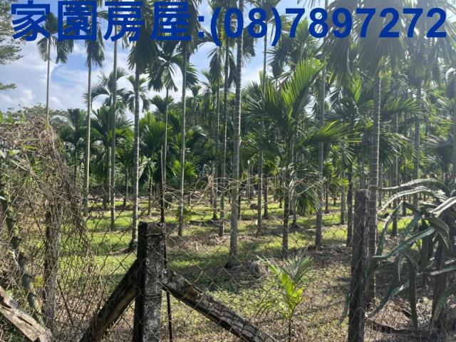 屏東潮州農地-2