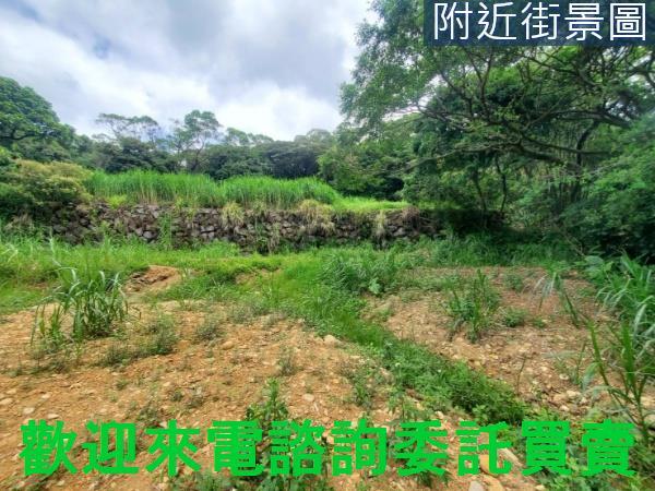 新北三芝農地-8