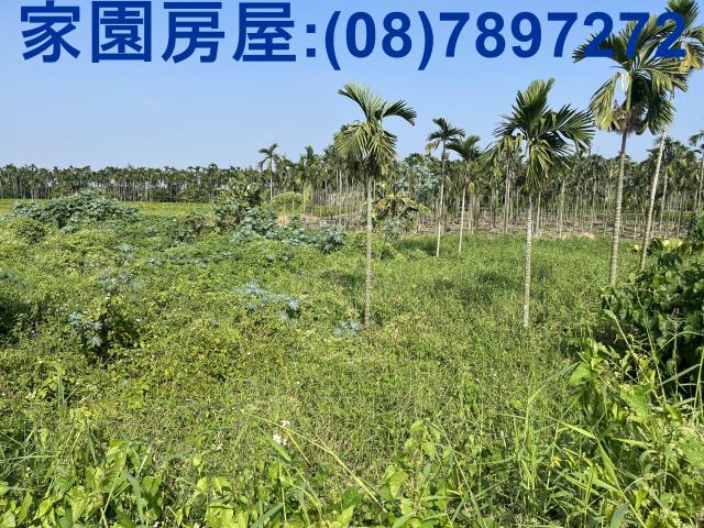 屏東潮州農地-2