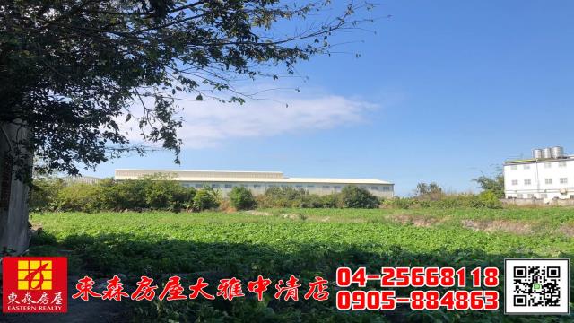 台中農地-3