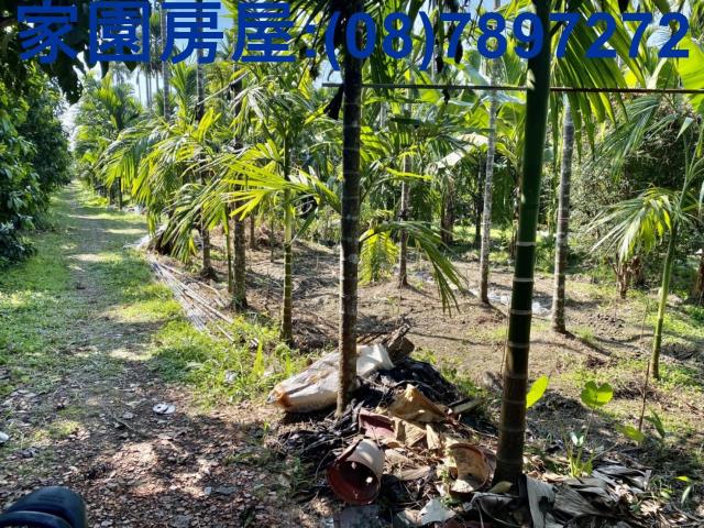 萬巒農地-1