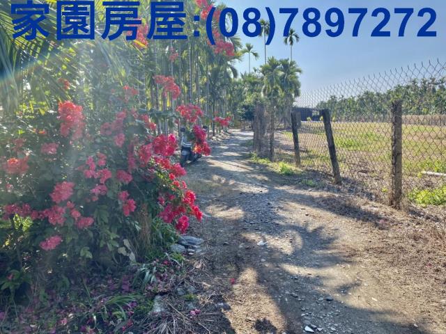 萬巒農地-3