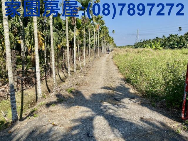 萬巒農地-5