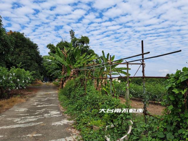 台南農地-9
