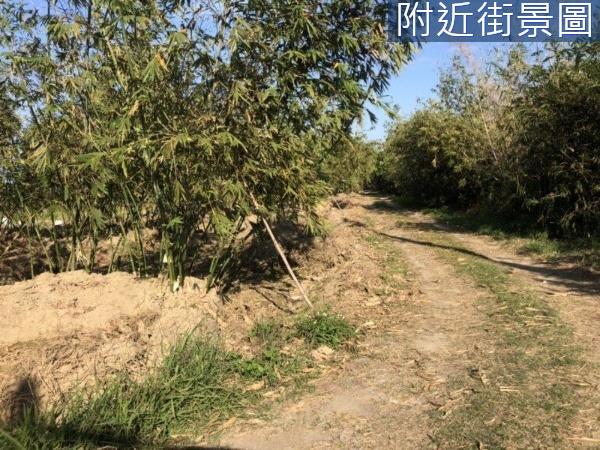關廟農地-2
