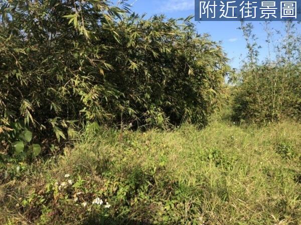 關廟農地-3
