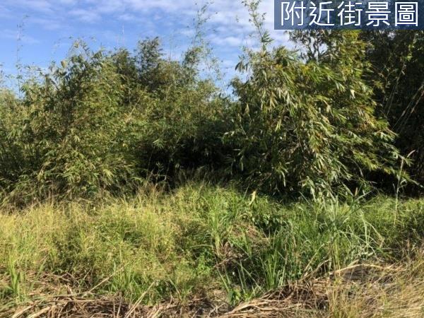 關廟農地-4