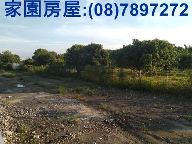 屏東麟洛農地-3