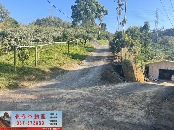 卓蘭農地-1
