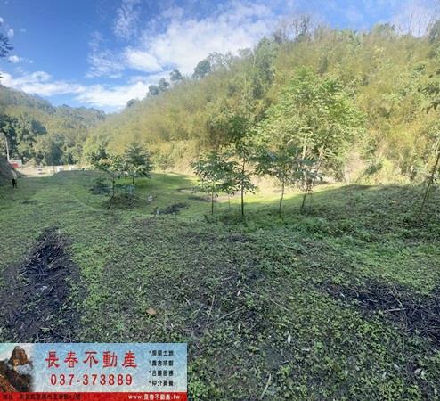 頭屋農地_山坡地_林地-1
