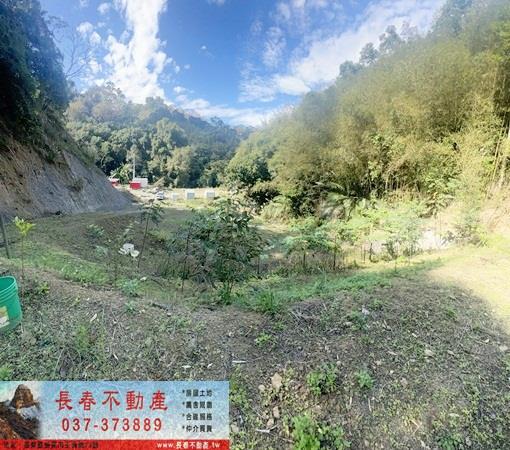 頭屋農地_山坡地_林地-2
