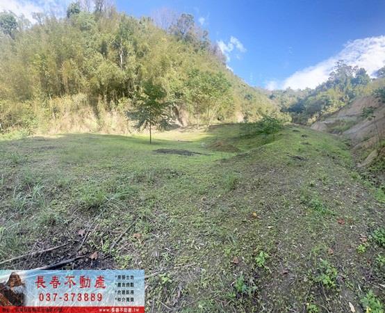 頭屋農地_山坡地_林地-3